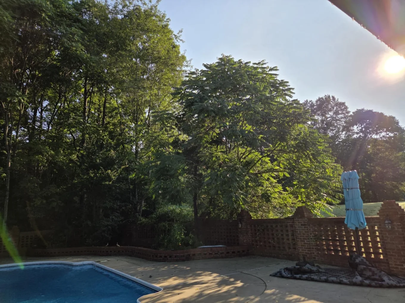 Wide concrete pool patio bordered by a brick wall and cleared treeline