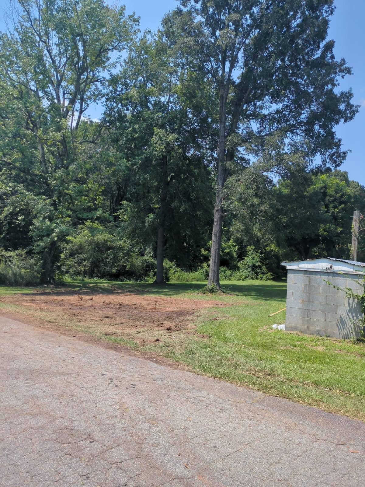 Cleared lot edge with stumps removed and ground graded beside a driveway